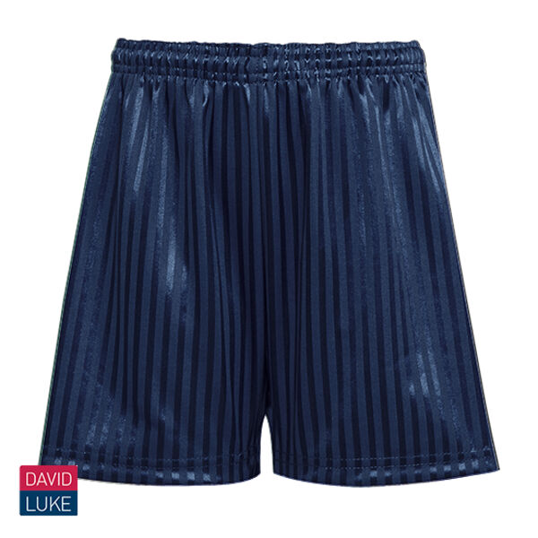 David Luke Shadow Shorts - Navy Thumbnail